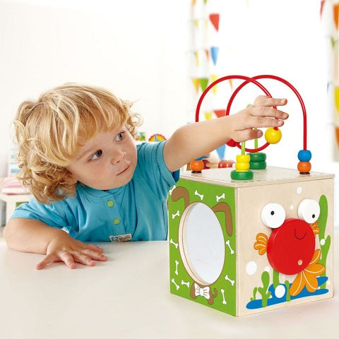 Hape Discovery Box Activity Center Baby Toy