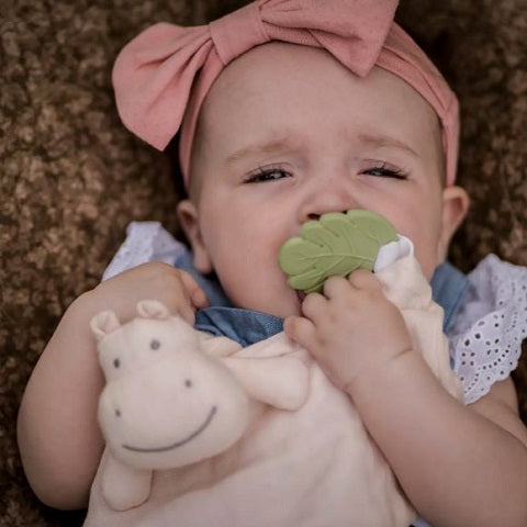 Hippo Organic Comforter with Rubber Teether